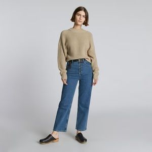 Everlane NWT The Way High Jean